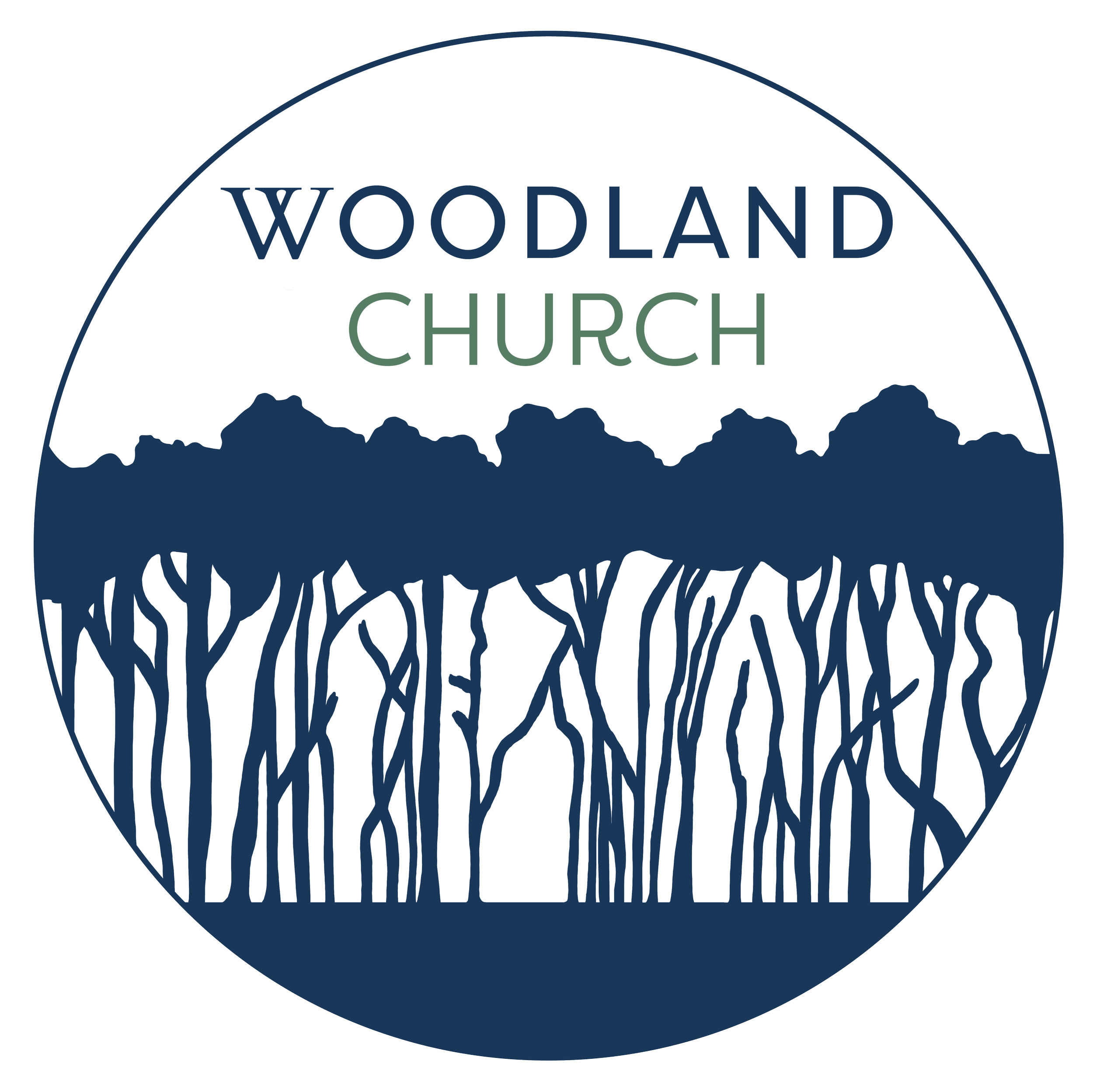 Woodland+Church+Primary+Logo.png